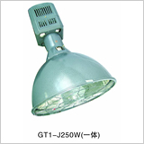 引領(lǐng)綠色照明新時(shí)代 高效節(jié)能燈具產(chǎn)品全方位展示